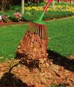 Red upside-down wire basket on a pole used to pickup leaves