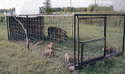 Homemade Portable Pig Tractors