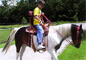 Custom-Made Accessible Saddle