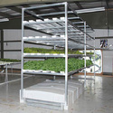GT50 Vertical Lettuce and Herb System