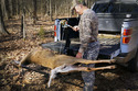 Pic of man in camouflage standing at the right rear of a pickup truck in the woods with the tailgate down and the SwivelLift Winch installed cranking a dead buck up on the lift platform.